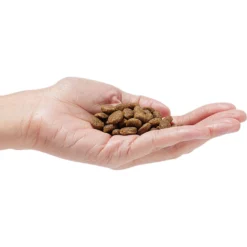 Dr. Pol Healthy Balance Salmon Recipe Grain-Free Dry Dog Food -ROYAL CANIN Shop 232536 PT2. AC SS1800 V1682711638