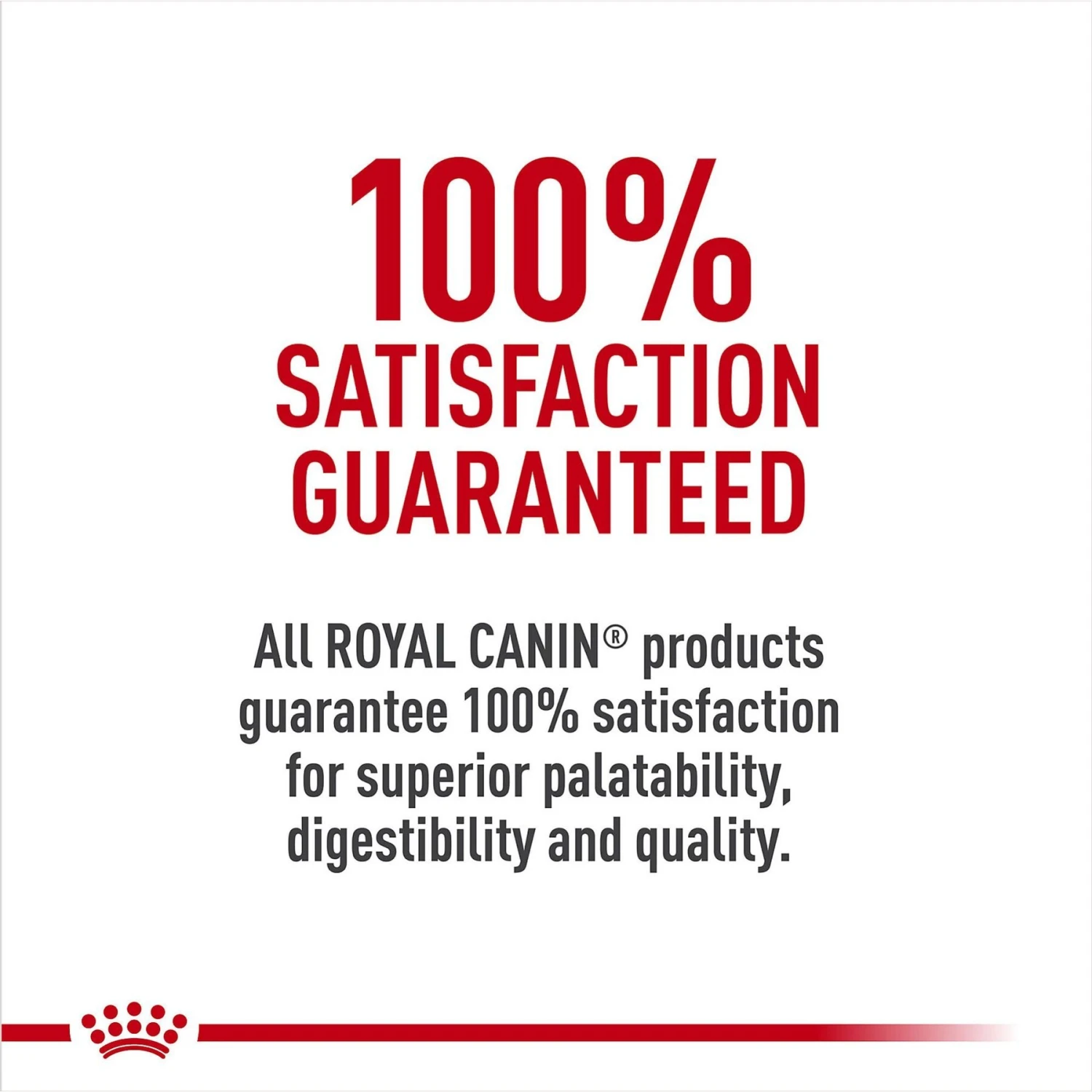 Royal Canin Breed Health Nutrition Pomeranian Adult Dry Dog Food 6 Royal Canin Breed Health Nutrition Pomeranian Adult Dry Dog Food - Image 6