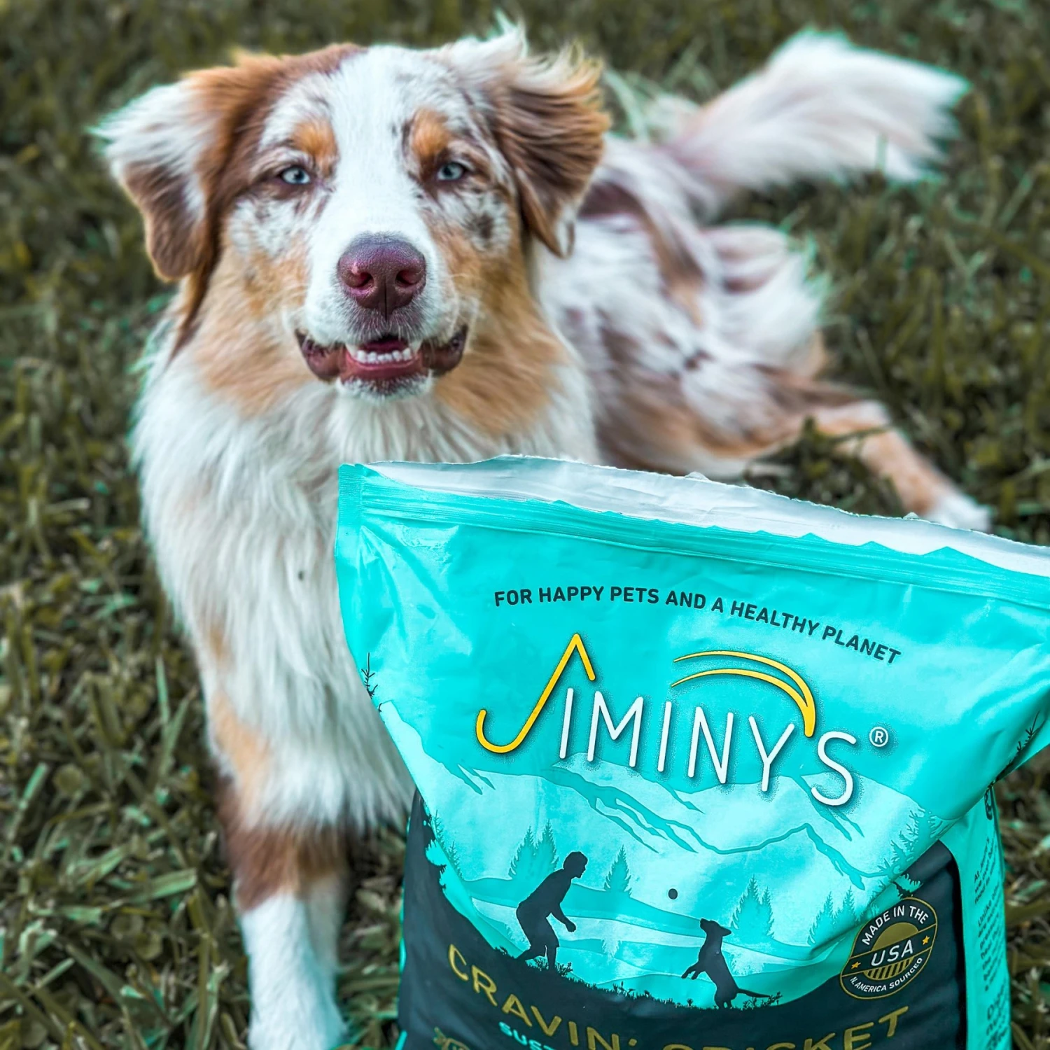 Jiminy's Cravin' Cricket Dry Dog Food 7 Jiminy's Cravin' Cricket Dry Dog Food - Image 7