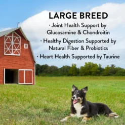 True Acre Foods Large Breed Chicken & Vegetables Recipes Grain-Free Dry Dog Food 9 True Acre Foods Large Breed Chicken & Vegetables Recipes Grain-Free Dry Dog Food -ROYAL CANIN Shop 247981 PT3. AC SS1800 V1611952123