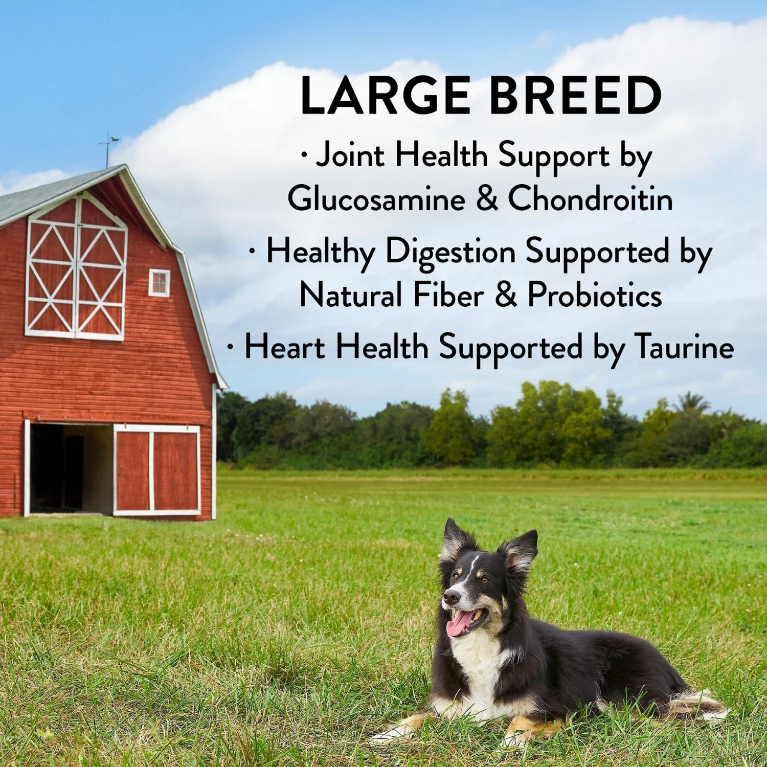 True Acre Foods Large Breed Chicken & Vegetables Recipes Grain-Free Dry Dog Food 3 True Acre Foods Large Breed Chicken & Vegetables Recipes Grain-Free Dry Dog Food - Image 3