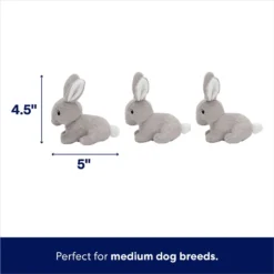 Frisco Spring Bunny Burrow Hide & Seek Plush Squeaky Dog Toy -ROYAL CANIN Shop 248039 PT2. AC SS1800 V1700243718