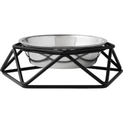 Frisco Elevated Stainless Steel Dog & Cat Bowl With Metal Stand