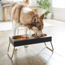 Frisco Copper Stainless Steel Elevated Foldable Double Dog & Cat Bowls -ROYAL CANIN Shop 253060 PT2. AC SS1800 V1616594243