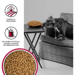 BIXBI Liberty Beef Recipe Grain-Free Dry Dog Food -ROYAL CANIN Shop 254787 PT2. AC SS1800 V1668200006