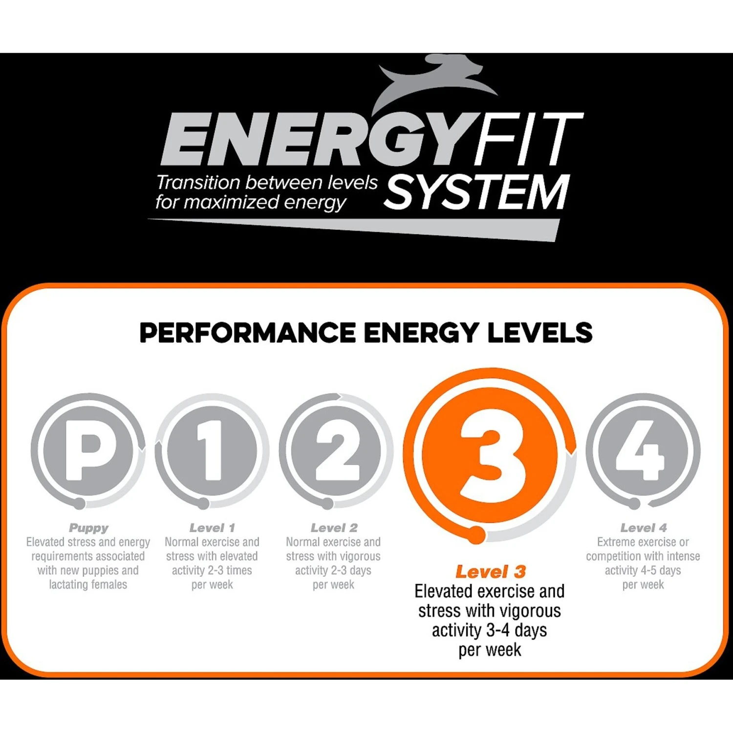 Blue Seal Native Level 3 Dry Dog Food, 40-lb Bag 6 Blue Seal Native Level 3 Dry Dog Food, 40-lb Bag - Image 6