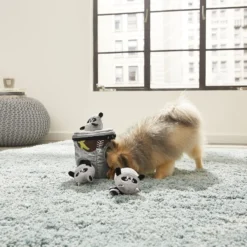 Frisco Trash Can & Raccoons Hide & Seek Puzzle Plush Squeaky Dog Toy & Frisco Trash Can & Raccoons Hide & Seek Puzzle Plush Squeaky Dog Toy Refills -ROYAL CANIN Shop 255563 PT2. AC SS1800 V1602702702