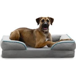 Brindle Orthopedic Bolster Dog & Cat Bed With Removable Cover -ROYAL CANIN Shop 256164 PT6. AC SS1800 V1602124913