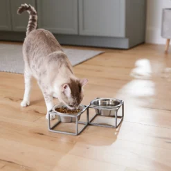 Frisco Elevated Diamond Stainless Steel Double Diner Dog & Cat Bowl -ROYAL CANIN Shop 257147 PT5. AC SS1800 V1615989105