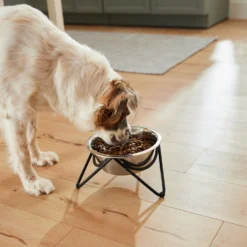 Frisco Triangle Iron Non-Skid Elevated Dog & Cat Bowl -ROYAL CANIN Shop 257155 PT5. AC SS1800 V1692987369
