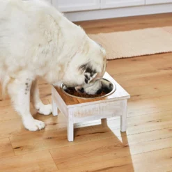 Frisco Farm House Wood Elevated Non-Skid Stainless Steel Dog Bowl 13 Frisco Farm House Wood Elevated Non-Skid Stainless Steel Dog Bowl -ROYAL CANIN Shop 257160 PT8. AC SS1800 V1615932139