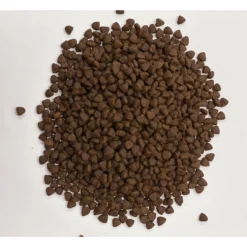 Earthborn Holistic Venture Roasted Lamb & Butternut Squash Limited Ingredient Diet Grain-Free Dry Dog Food -ROYAL CANIN Shop 258176 PT2. AC SS1800 V1603409517