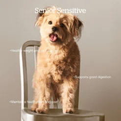 Now Fresh Grain-Free Senior Formula Dry Dog Food 11 Now Fresh Grain-Free Senior Formula Dry Dog Food -ROYAL CANIN Shop 261227 PT2. AC SS1800 V1637794148