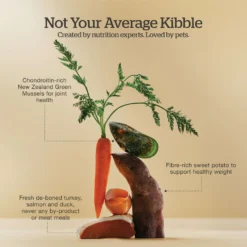 Now Fresh Grain-Free Senior Formula Dry Dog Food 12 Now Fresh Grain-Free Senior Formula Dry Dog Food -ROYAL CANIN Shop 261227 PT3. AC SS1800 V1637793418