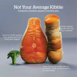 Now Fresh Grain-Free Large Breed Puppy Recipe Dry Dog Food 12 Now Fresh Grain-Free Large Breed Puppy Recipe Dry Dog Food -ROYAL CANIN Shop 261229 PT3. AC SS1800 V1637794314