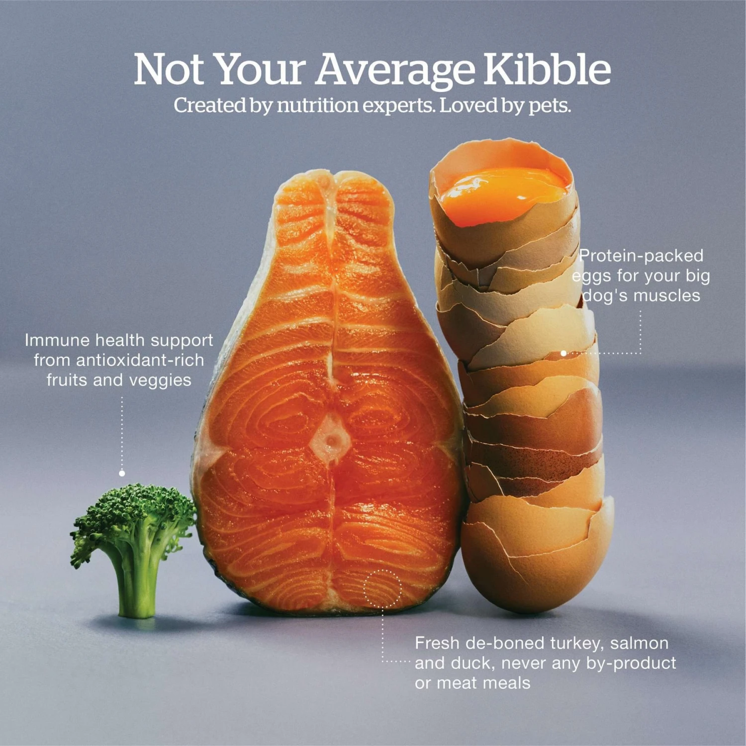 Now Fresh Grain-Free Large Breed Puppy Recipe Dry Dog Food 4 Now Fresh Grain-Free Large Breed Puppy Recipe Dry Dog Food - Image 4