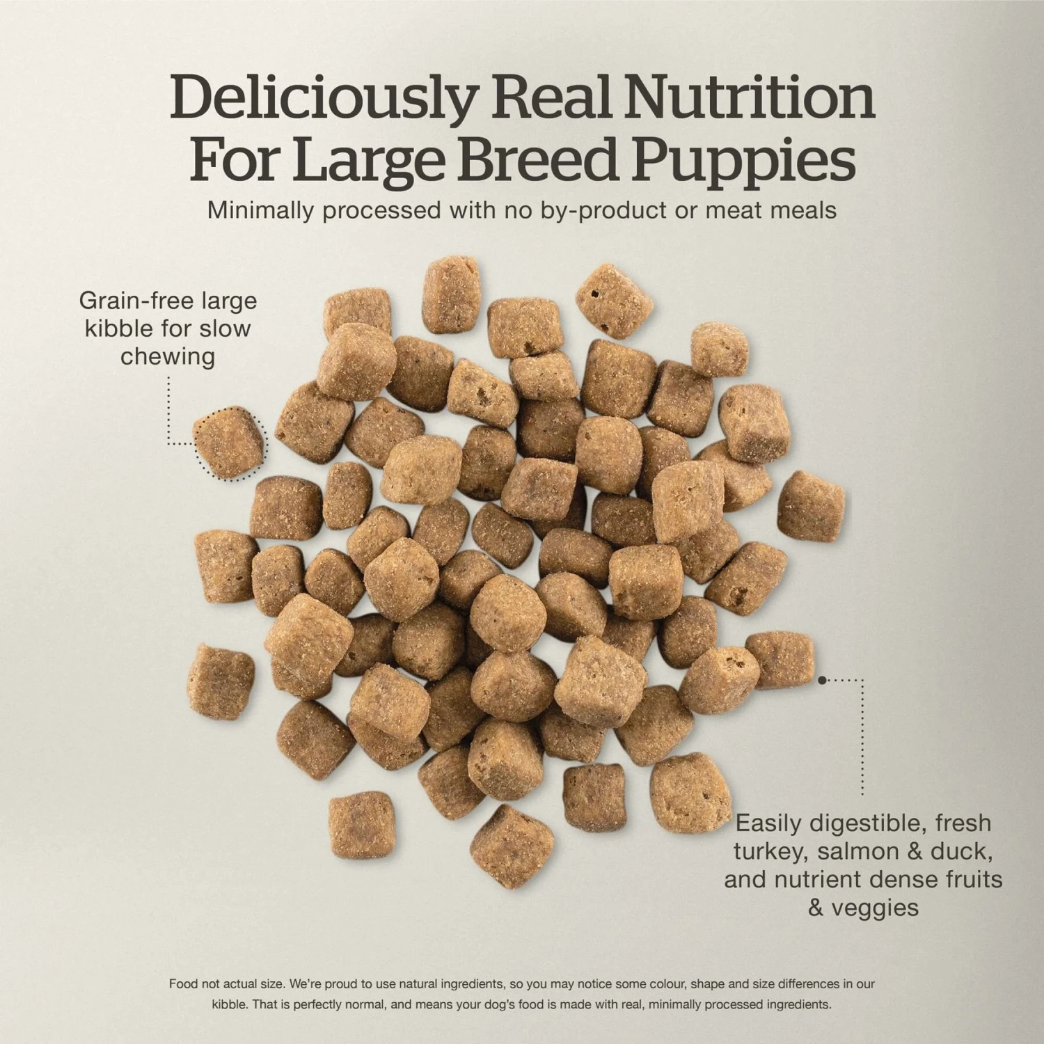 Now Fresh Grain-Free Large Breed Puppy Recipe Dry Dog Food 5 Now Fresh Grain-Free Large Breed Puppy Recipe Dry Dog Food - Image 5