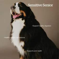 Now Fresh Grain-Free Large Breed Senior Recipe Dry Dog Food -ROYAL CANIN Shop 261232 PT2. AC SS1800 V1637790469