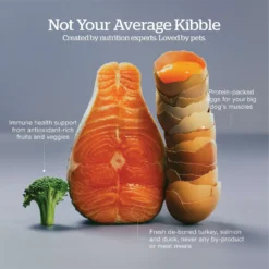 Now Fresh Grain-Free Large Breed Senior Recipe Dry Dog Food -ROYAL CANIN Shop 261232 PT3. AC SS1800 V1637792298