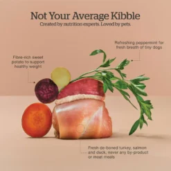 Now Fresh Grain-Free Small Breed Adult Recipe Dry Dog Food -ROYAL CANIN Shop 261243 PT3. AC SS1800 V1637791329