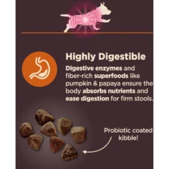 Wellness CORE Digestive Health Wholesome Grains Chicken & Brown Rice Recipe Small Breed Dry Dog Food -ROYAL CANIN Shop 264876 PT3. AC SS1800 V1608678767