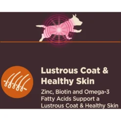 Wellness CORE Digestive Health Wholesome Grains Chicken & Brown Rice Recipe Small Breed Dry Dog Food -ROYAL CANIN Shop 264876 PT5. AC SS1800 V1608679374