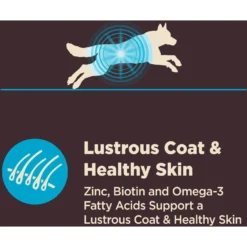 Wellness CORE Digestive Health Wholesome Grains Whitefish & Brown Rice Recipe Dry Dog Food -ROYAL CANIN Shop 264880 PT5. AC SS1800 V1608680576