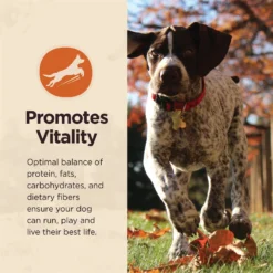 Wellness CORE Digestive Health Wholesome Grains Whitefish & Brown Rice Recipe Dry Dog Food -ROYAL CANIN Shop 264880 PT8. AC SS1800 V1608691643