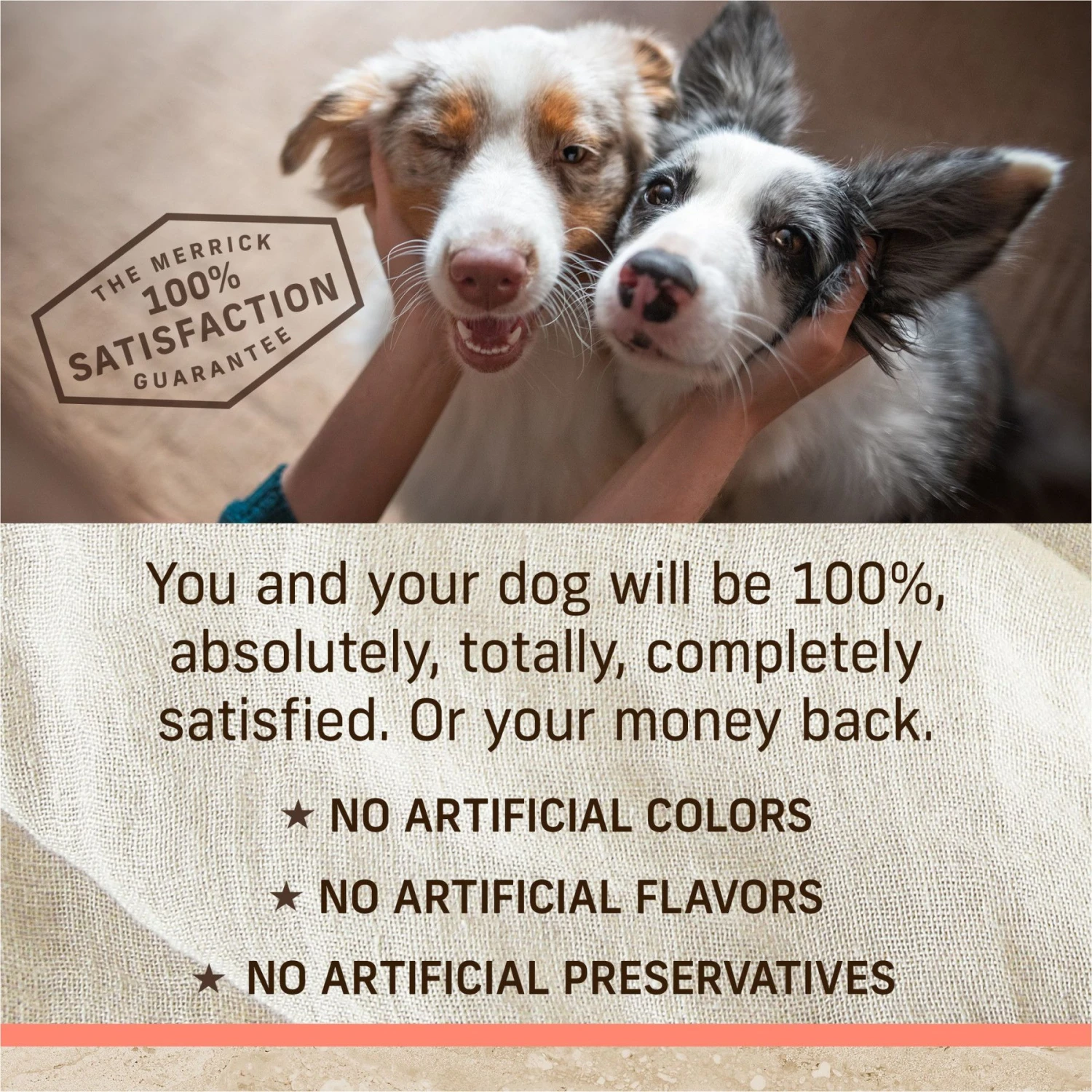 Merrick Healthy Grains Real Salmon & Brown Rice Recipe With Ancient Grains Dry Dog Food 7 Merrick Healthy Grains Real Salmon & Brown Rice Recipe With Ancient Grains Dry Dog Food - Image 7