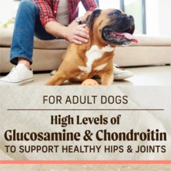 Merrick Healthy Grains Real Salmon & Brown Rice Recipe With Ancient Grains Dry Dog Food 17 Merrick Healthy Grains Real Salmon & Brown Rice Recipe With Ancient Grains Dry Dog Food -ROYAL CANIN Shop 265087 PT8. AC SS1800 V1620839531