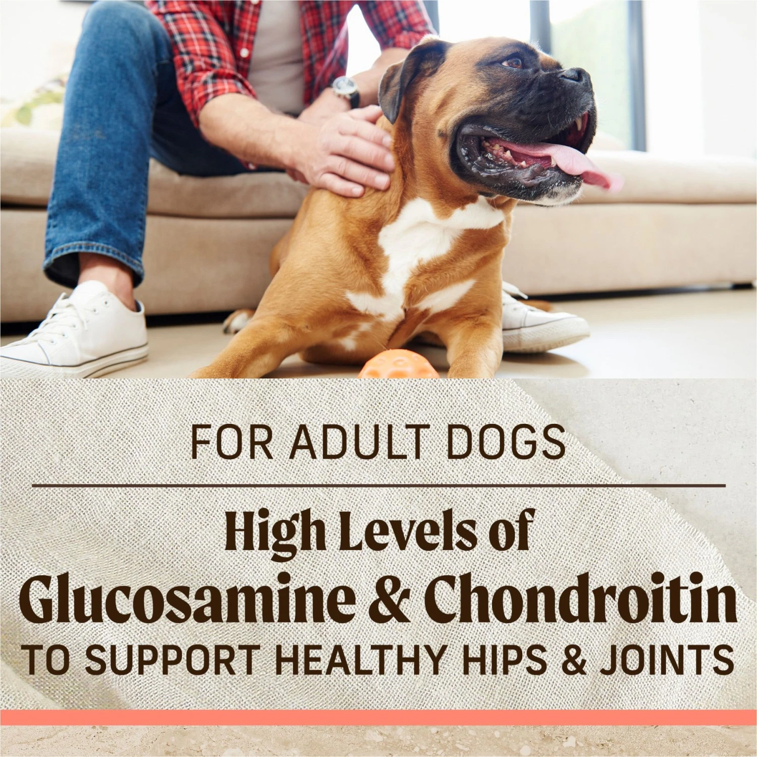 Merrick Healthy Grains Real Salmon & Brown Rice Recipe With Ancient Grains Dry Dog Food 9 Merrick Healthy Grains Real Salmon & Brown Rice Recipe With Ancient Grains Dry Dog Food - Image 9