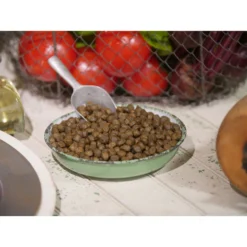 Dr. Gary's Best Breed Holistic Salmon With Vegetables & Herbs Dry Dog Food -ROYAL CANIN Shop 265413 PT2. AC SS1800 V1609891057