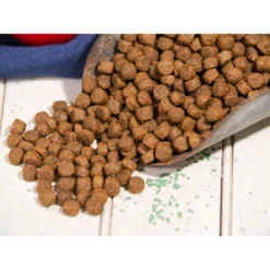 Dr. Gary's Best Breed Holistic Grain-Free Salmon With Fruits & Vegetables Dry Dog Food -ROYAL CANIN Shop 265421 PT2. AC SS1800 V1609887776