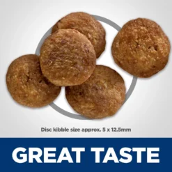 Hill's Science Diet Adult Perfect Digestion Salmon Dry Dog Food 12 Hill's Science Diet Adult Perfect Digestion Salmon Dry Dog Food -ROYAL CANIN Shop 266825 PT3. AC SS1800 V1614208595