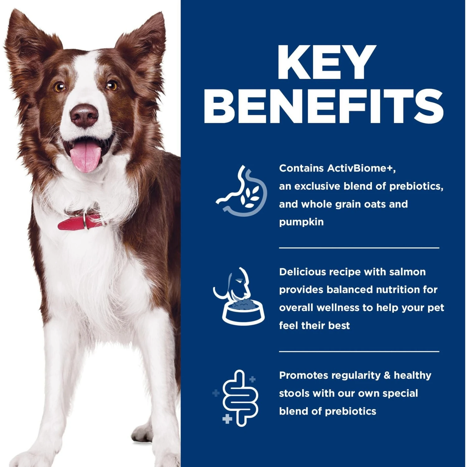 Hill's Science Diet Adult Perfect Digestion Salmon Dry Dog Food 6 Hill's Science Diet Adult Perfect Digestion Salmon Dry Dog Food - Image 6