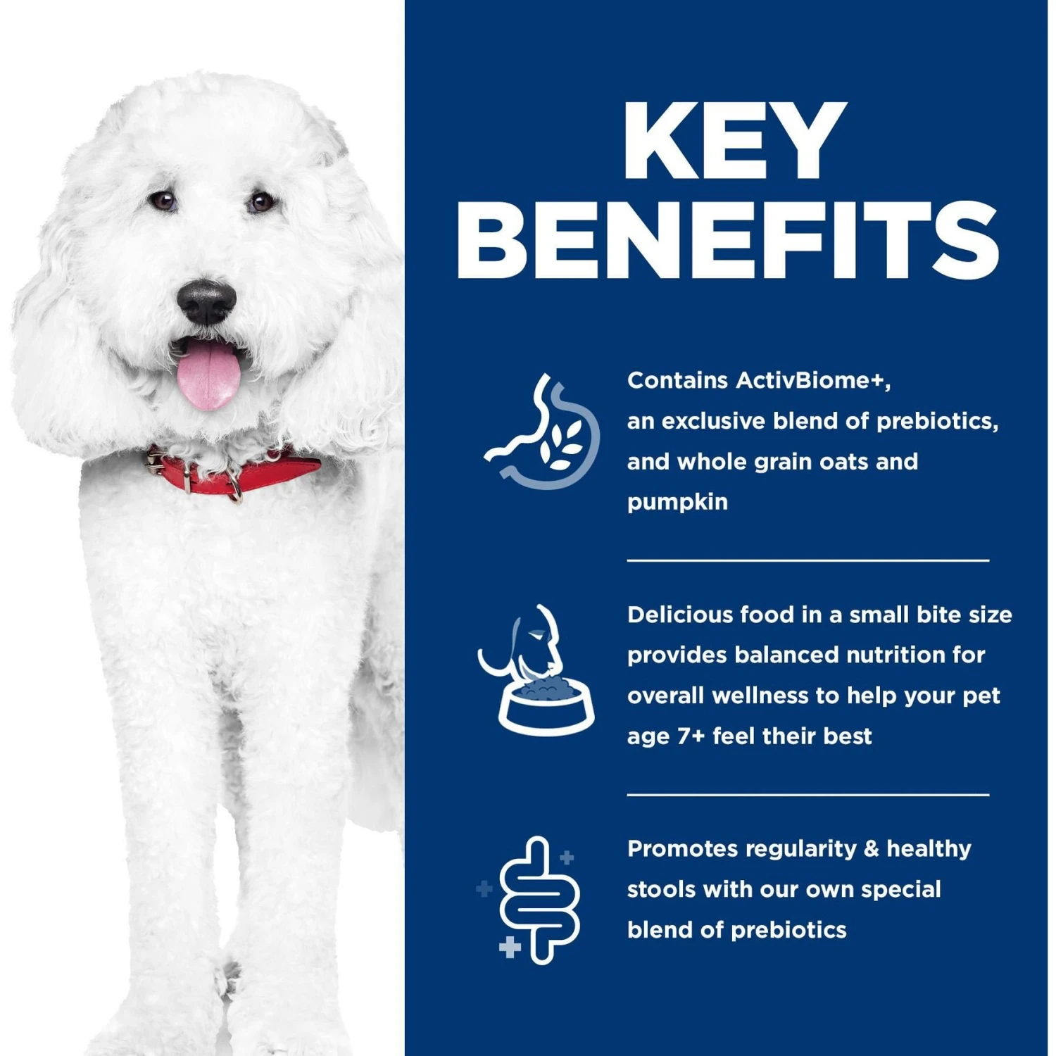 Hill's Science Diet Adult 7+ Perfect Digestion Small Bites Chicken Dry Dog Food, 12-lb Bag 6 Hill's Science Diet Adult 7+ Perfect Digestion Small Bites Chicken Dry Dog Food, 12-lb Bag - Image 6