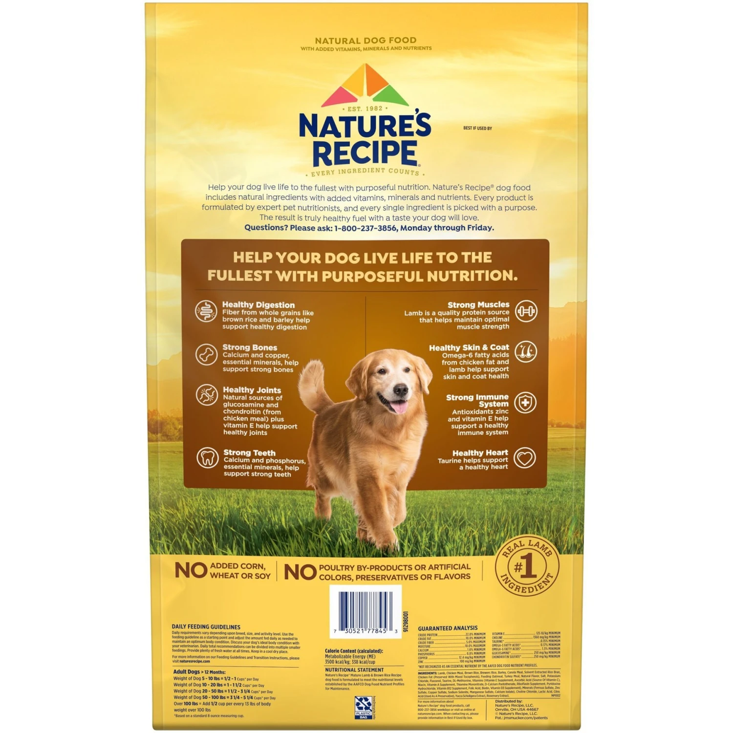 Nature's Recipe Mature Lamb & Rice Recipe Dry Dog Food 3 Nature's Recipe Mature Lamb & Rice Recipe Dry Dog Food - Image 3