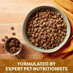 Nature's Recipe Mature Lamb & Rice Recipe Dry Dog Food 12 Nature's Recipe Mature Lamb & Rice Recipe Dry Dog Food -ROYAL CANIN Shop 266853 PT3. AC SS1800 V1672851238