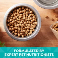 Nature's Recipe Easy-To-Digest Chicken, Brown Rice & Barley Recipe Dry Dog Food -ROYAL CANIN Shop 266858 PT3. AC SS1800 V1672851236