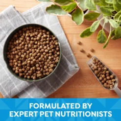 Nature's Recipe Puppy Lamb & Rice Recipe Dry Dog Food -ROYAL CANIN Shop 266859 PT3. AC SS1800 V1672850420