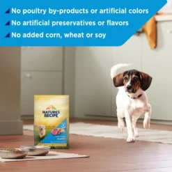 Nature's Recipe Puppy Lamb & Rice Recipe Dry Dog Food -ROYAL CANIN Shop 266859 PT4. AC SS1800 V1672851776