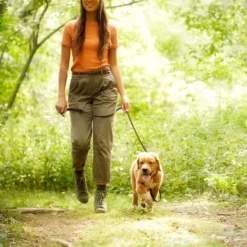 Nature's Recipe Puppy Lamb & Rice Recipe Dry Dog Food -ROYAL CANIN Shop 266859 PT5. AC SS1800 V1672842444