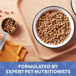 Nature's Recipe Small Bites Chicken, Barley & Brown Rice Recipe Dry Dog Food 12 Nature's Recipe Small Bites Chicken, Barley & Brown Rice Recipe Dry Dog Food -ROYAL CANIN Shop 266865 PT3. AC SS1800 V1672851350