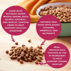 Nature's Recipe Small Bites Chicken, Barley & Brown Rice Recipe Dry Dog Food 14 Nature's Recipe Small Bites Chicken, Barley & Brown Rice Recipe Dry Dog Food -ROYAL CANIN Shop 266865 PT5. AC SS1800 V1610368046