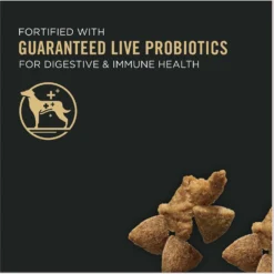 Purina Pro Plan Complete Essentials Shredded Blend Turkey & Rice Formula High Protein Dry Dog Food -ROYAL CANIN Shop 271621 PT2. AC SS1800 V1649222802