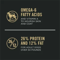 Purina Pro Plan Specialized Beef & Rice Formula High Protein Large Breed Dry Dog Food -ROYAL CANIN Shop 271625 PT6. AC SS1800 V1649195818