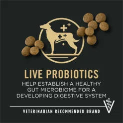 Purina Pro Plan Development Beef & Rice Formula High Protein Large Breed Dry Puppy Food -ROYAL CANIN Shop 271628 PT8. AC SS1800 V1649197937