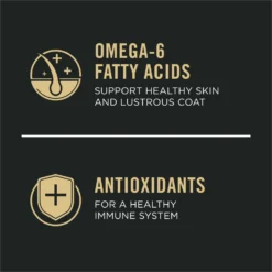 Purina Pro Plan Sensitive Skin & Stomach Adult With Probiotics Turkey & Oat Meal Formula High Protein Dry Dog Food -ROYAL CANIN Shop 271635 PT4. AC SS1800 V1649200651