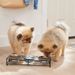 Frisco Multi Pet Feeding 3-Bowls Straight Stainless Steel Dog & Cat Bowl -ROYAL CANIN Shop 277568 PT2. AC SS1800 V1630346795