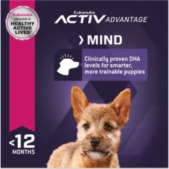 Eukanuba Puppy Small Breed Dry Dog Food -ROYAL CANIN Shop 282286 PT4. AC SS1800 V1618928531